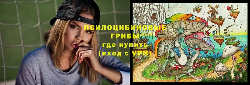 Псилоцибиновые грибы GOLDEN TEACHER  Красноперекопск 